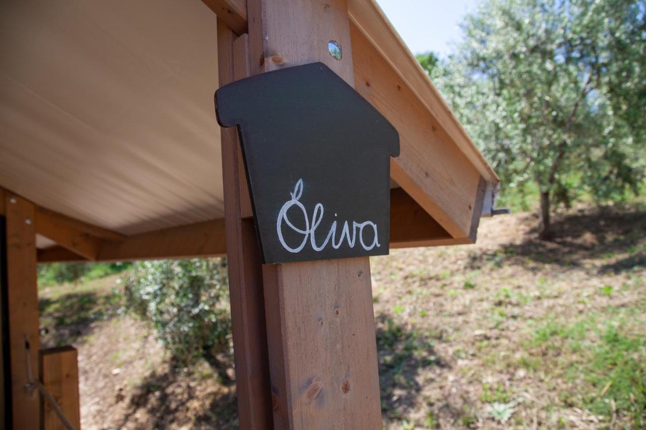 Agriturismo Podere Prataccio Grosseto Exterior foto